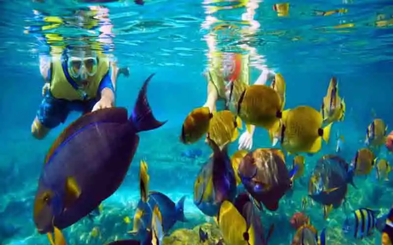 snorkeling